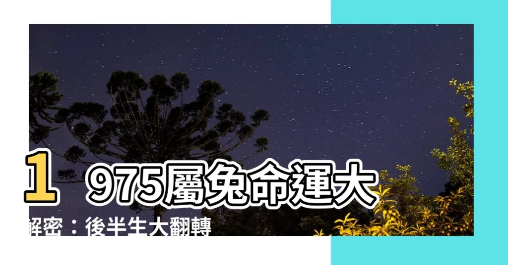 【1975 屬】1975屬兔命運大解密：後半生大翻轉，45歲迎來貴人護航
