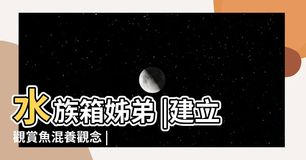 【上層魚推薦】水族箱姊弟 |建立觀賞魚混養觀念 |求推薦温和的上層魚 |