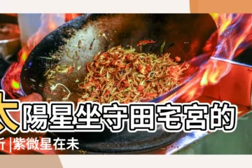 【太陽在辰田宅宮羊陀照會】太陽星坐守田宅宮的分析 |紫微星在未宮命宮在辰主星為太陽 |