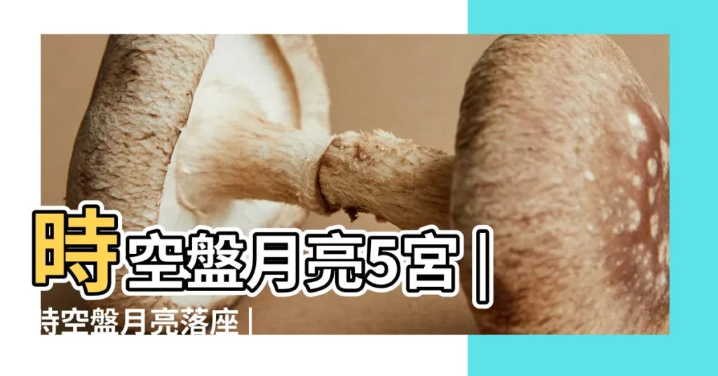 時空盤月亮5宮 |時空盤月亮落座 |【時空盤月亮落五宮】