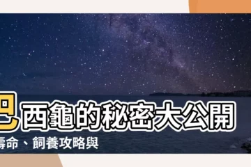 【巴西烏龜】巴西龜的秘密大公開：壽命、飼養攻略與放生禁忌