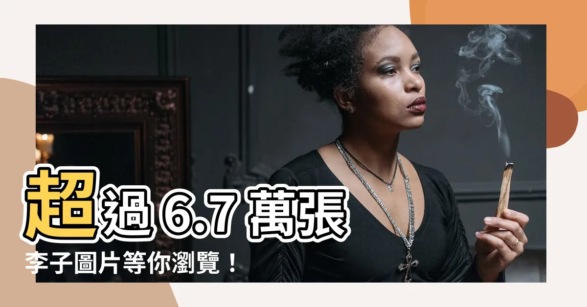【李子圖片】超過 6.7 萬張李子圖片等你瀏覽！