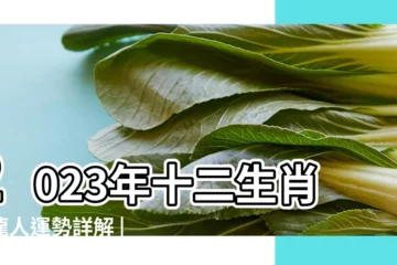 【明年生肖龍運氣好不好】2023年十二生肖屬龍人運勢詳解 |屬龍幸運色 |2024屬龍幾歲 |