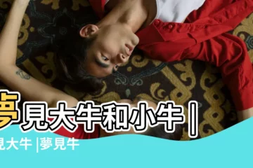 【夢見大牛和小牛在家裏】夢見大牛和小牛 |夢見大牛 |夢見牛進屋 |