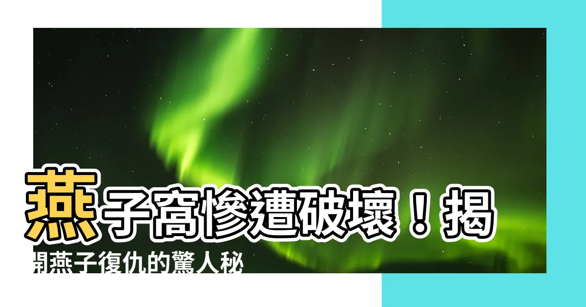 【燕子窩破壞】燕子窩慘遭破壞！揭開燕子復仇的驚人秘密