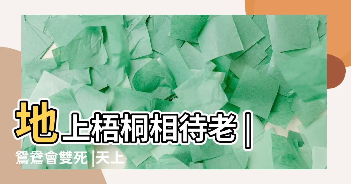 【地上梧桐相待老】地上梧桐相待老 |鴛鴦會雙死 |天上鶼鶼不獨飛 |