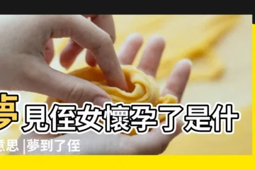 【孕婦夢到兩個侄女】夢見侄女懷孕了是什麼意思 |夢到了侄子侄女什麼預兆 |