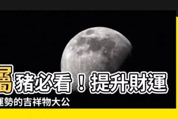 【屬豬佩戴】屬豬必看！提升財運和運勢的吉祥物大公開！