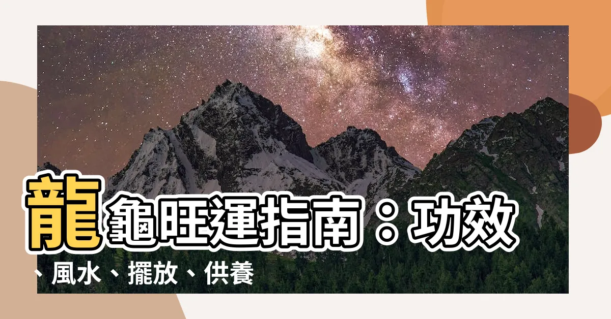 【龍龜】龍龜旺運指南：功效、風水、擺放、供養、禁忌全攻略