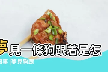 【做夢夢到被一條狗跟着】夢見一條狗跟着是怎麼回事 |夢見狗跟着自己 |夢見一條狗跟著是怎麼回事 |