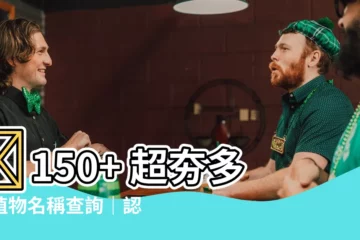 【多肉名稱查詢】🤩150+ 超夯多肉植物名稱查詢｜認識你的綠秘寶
