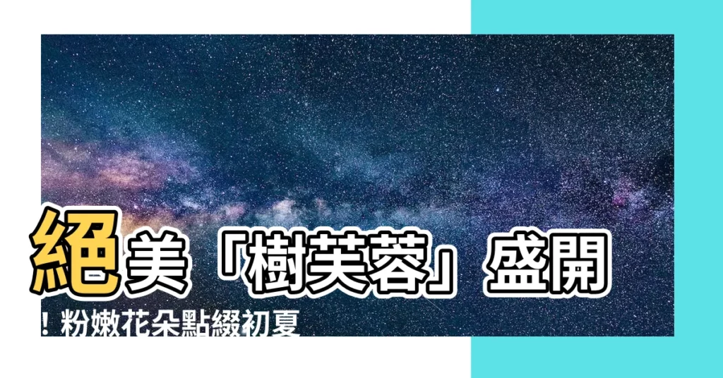 【樹芙蓉】絕美「樹芙蓉」盛開！粉嫩花朵點綴初夏，令人心醉不已