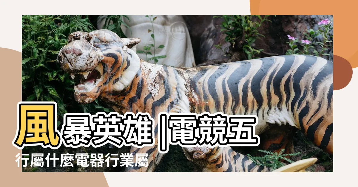 【電競五行】風暴英雄 |電競五行屬什麼電器行業屬火還是屬金 |穩偷莽狗諧 |