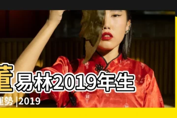 【董易林2019年生肖鼠運勢】董易林2019年生肖運勢 |2019年生肖 |年度運勢詳解 |
