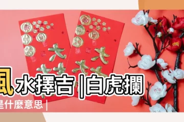 【日白虎方位】風水擇吉 |白虎攔路是什麼意思 |