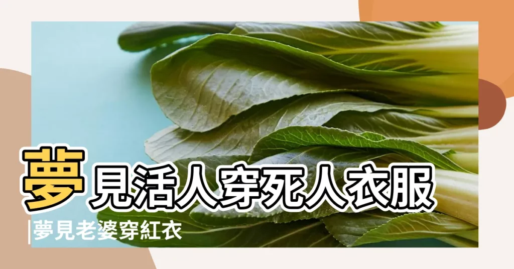 夢見活人穿死人衣服 |夢見老婆穿紅衣服 |做夢夢見死人的衣服好不好 |【夢見老婆穿的衣服和死人衣服一樣】