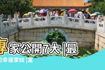 【手掌掌紋會變化嗎】專家公開7大 |最強的幸運掌紋 |富豪比爾 |