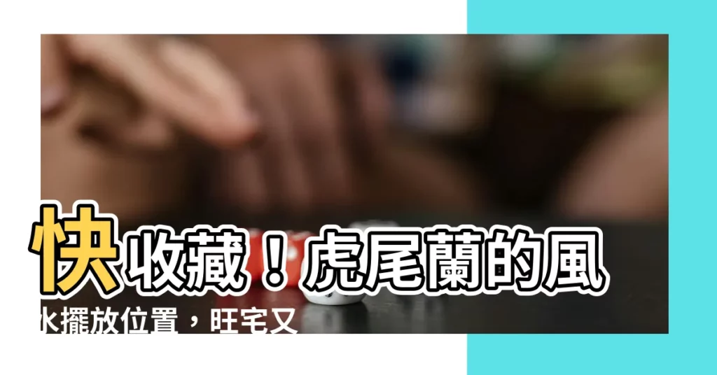 【虎尾蘭擺放位置】快收藏！虎尾蘭的風水擺放位置，旺宅又護財