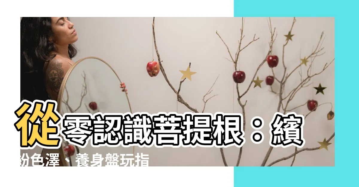 【菩提根顏色】從零認識菩提根：繽紛色澤、養身盤玩指南