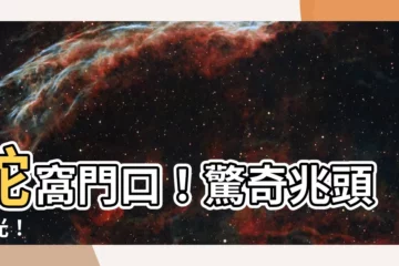 【蛇在家門口】蛇窩門口！驚奇兆頭曝光！