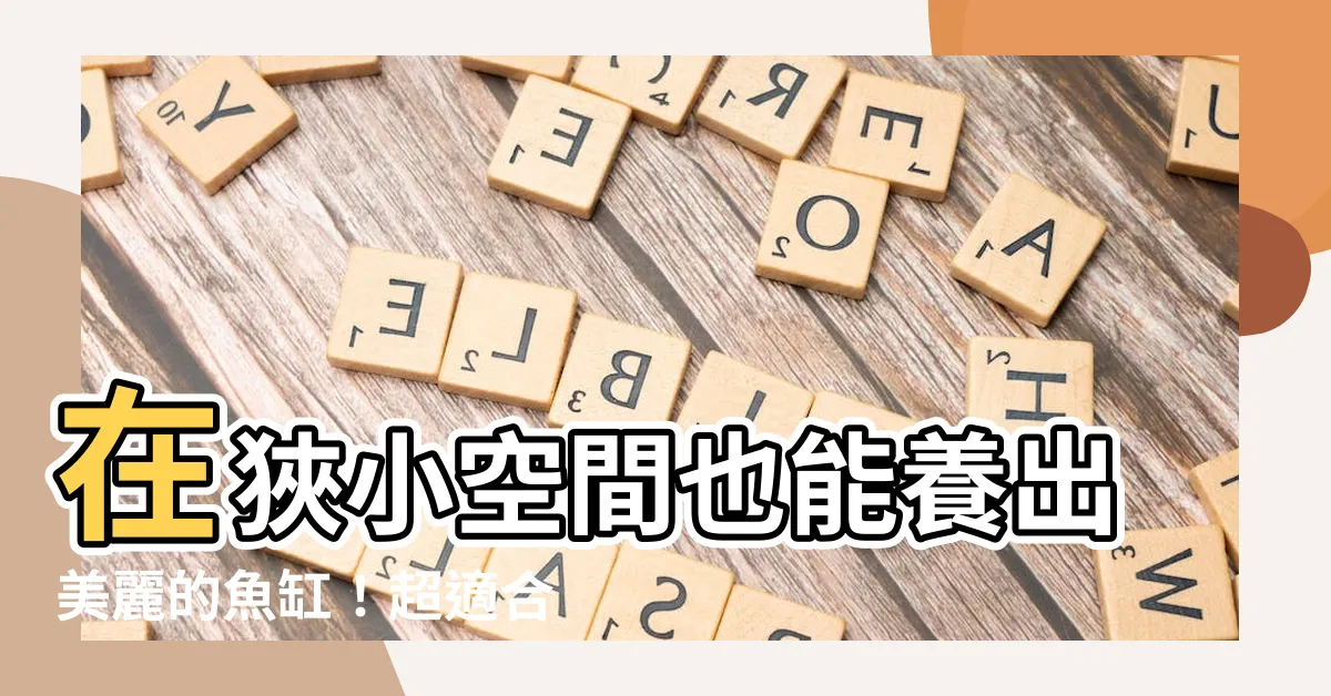 【適合養在房間的魚】在狹小空間也能養出美麗的魚缸！超適合房間的小型魚推薦