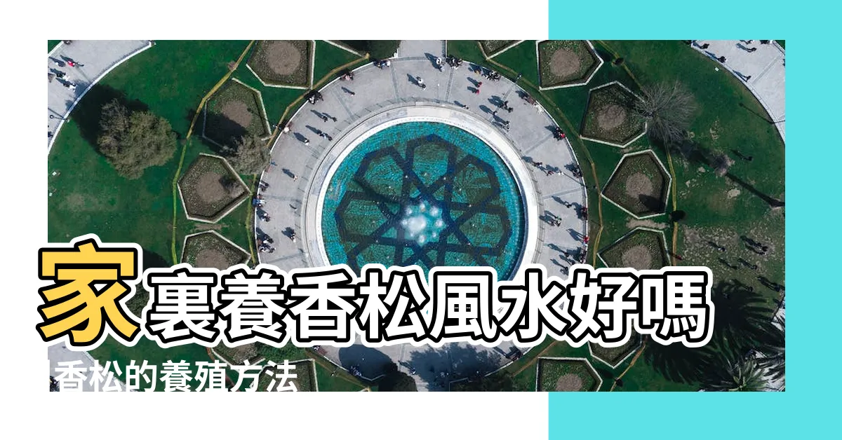 【香松風水】家裏養香松風水好嗎 |香松的養殖方法以及風水講究 |你家適合養盆栽香松嗎 |