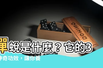 【蟬蜕是什麼】蟬蜕是什麼？它的3個神奇功效，讓你養生又保健！