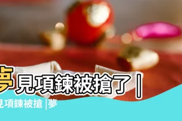 【做夢項鍊被搶】夢見項鍊被搶了 |夢見項鍊被搶 |夢見項鍊被搶 |