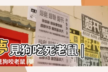 【夢見狗咬叼老鼠】夢見狗吃死老鼠 |夢見狗咬老鼠 |夢見狗咬老鼠周公解夢之夢到狗咬老鼠 |