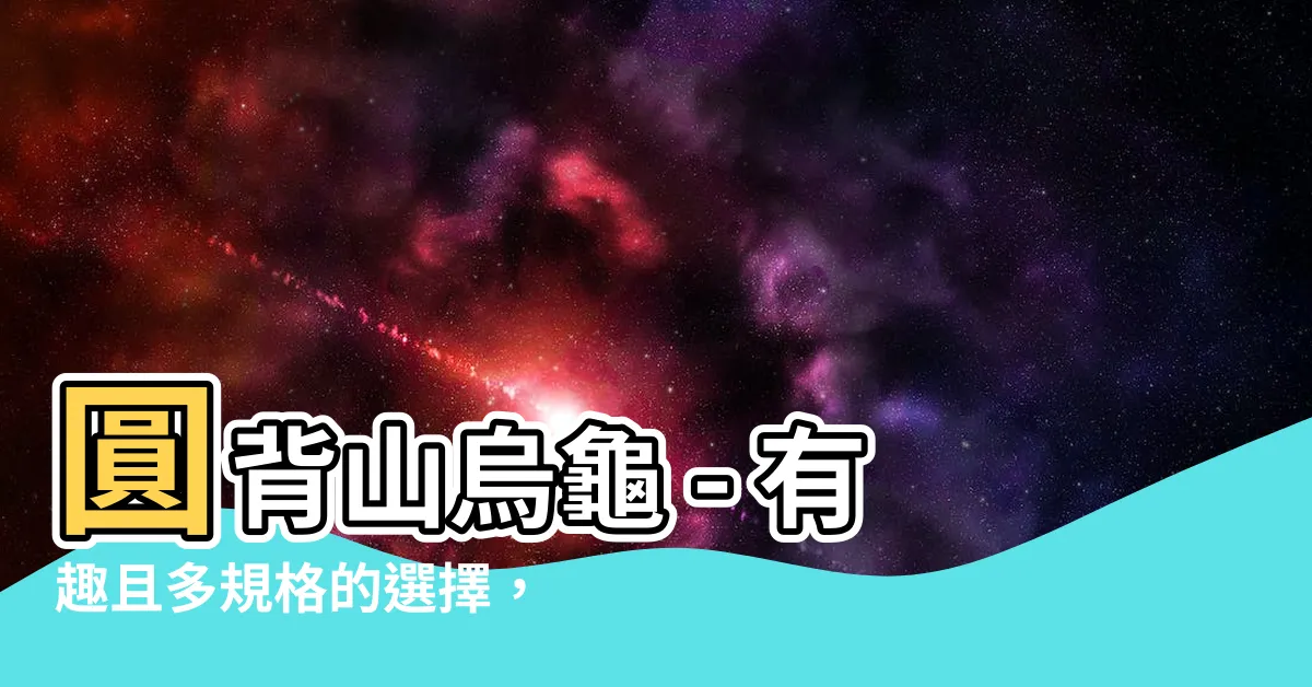 【圓背山烏龜】圓背山烏龜 - 有趣且多規格的選擇，優惠推薦！