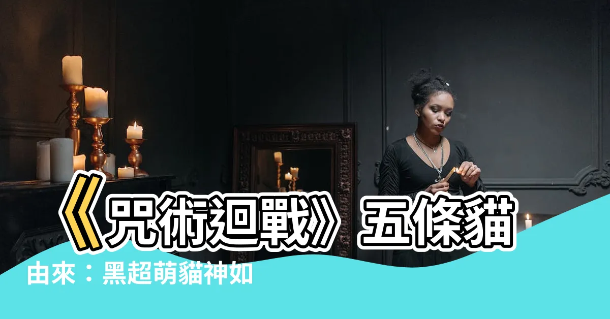 【五條貓由來】《咒術迴戰》五條貓由來：黑超萌貓神如何成為最強存在？