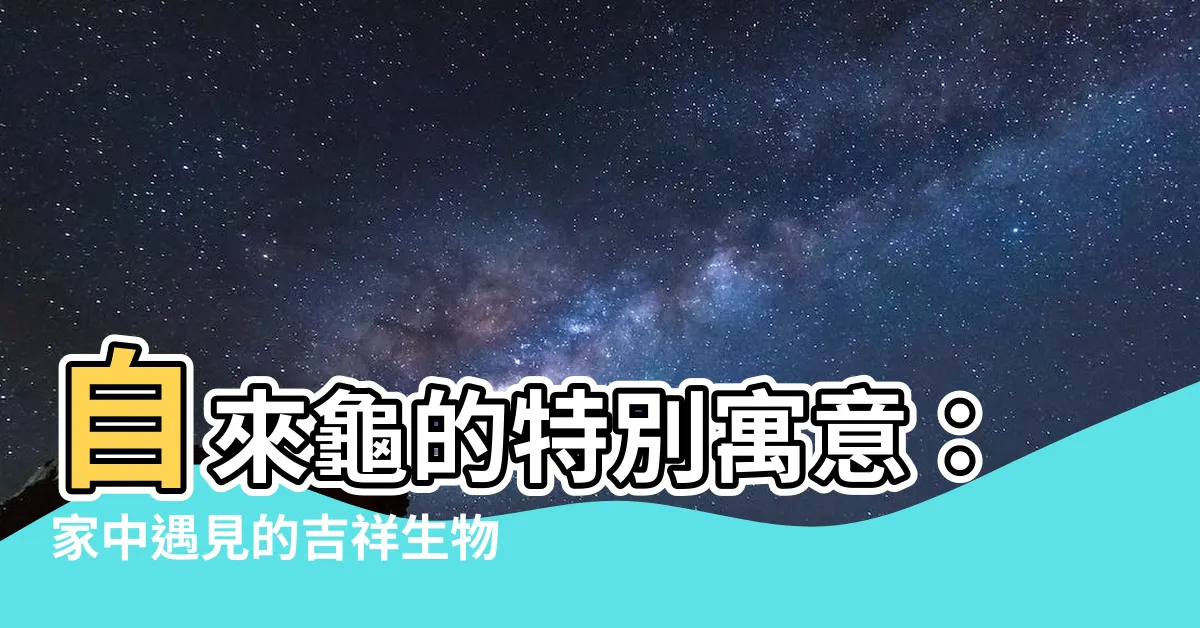 【自來龜 代表】自來龜的特別寓意：家中遇見的吉祥生物