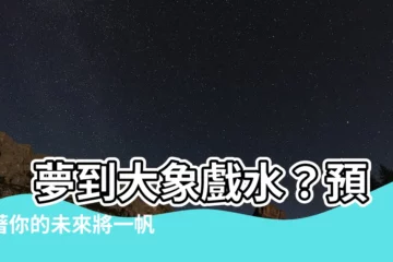 【夢到大象在水裡】 夢到大象戲水？預示著你的未來將一帆風順！