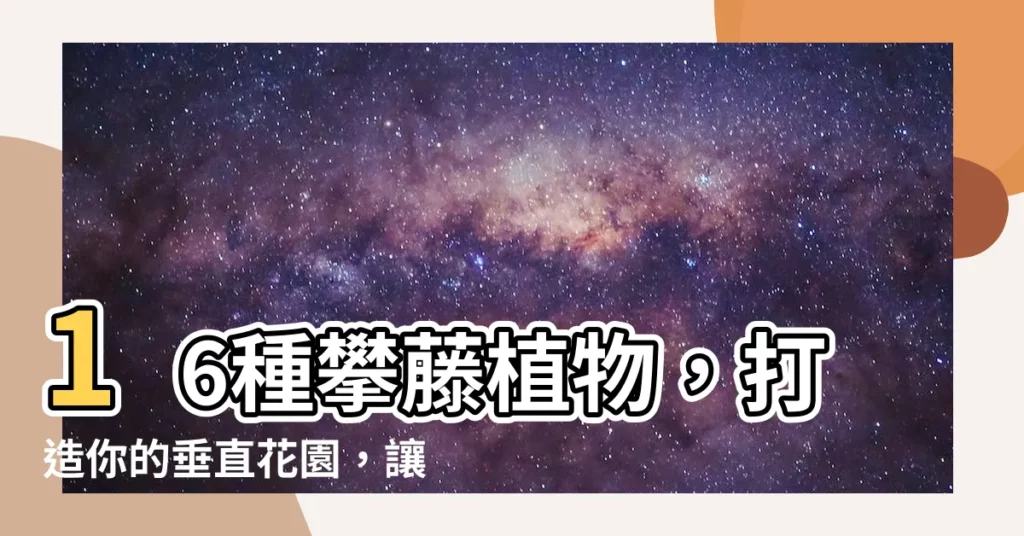 【攀藤植物】16種攀藤植物，打造你的垂直花園，讓牆面不再單調！