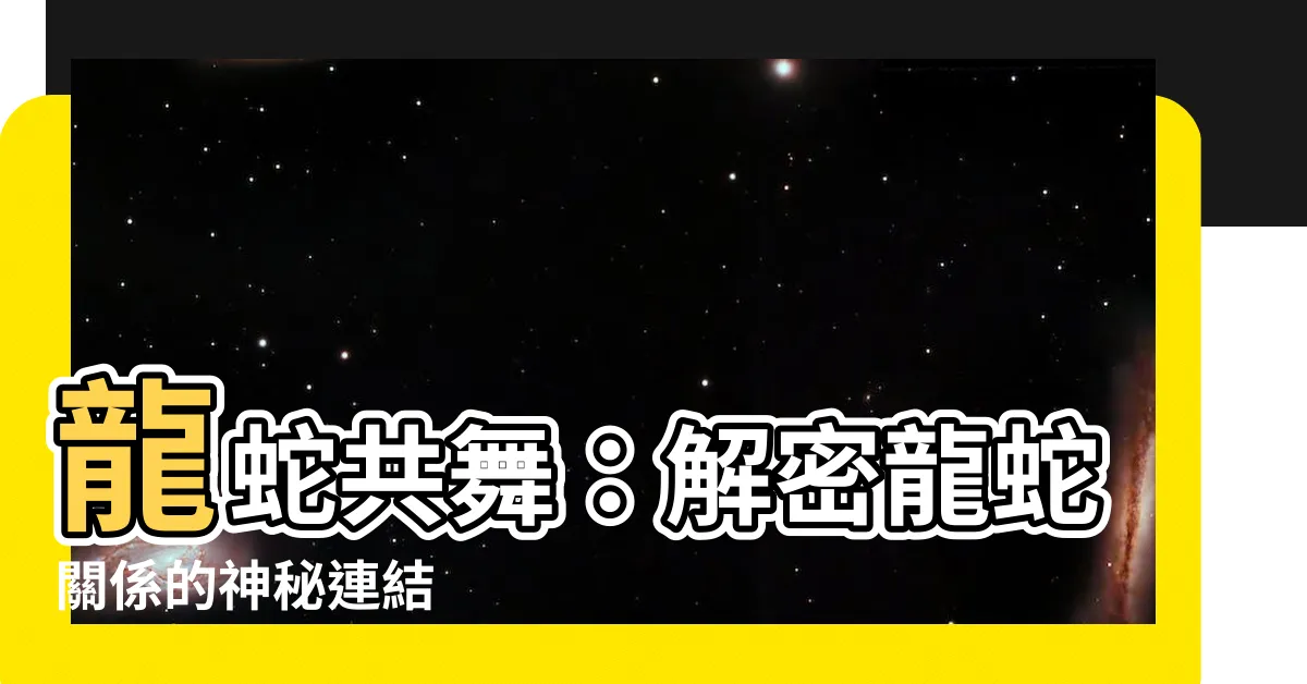【龍蛇關係】龍蛇共舞：解密龍蛇關係的神秘連結