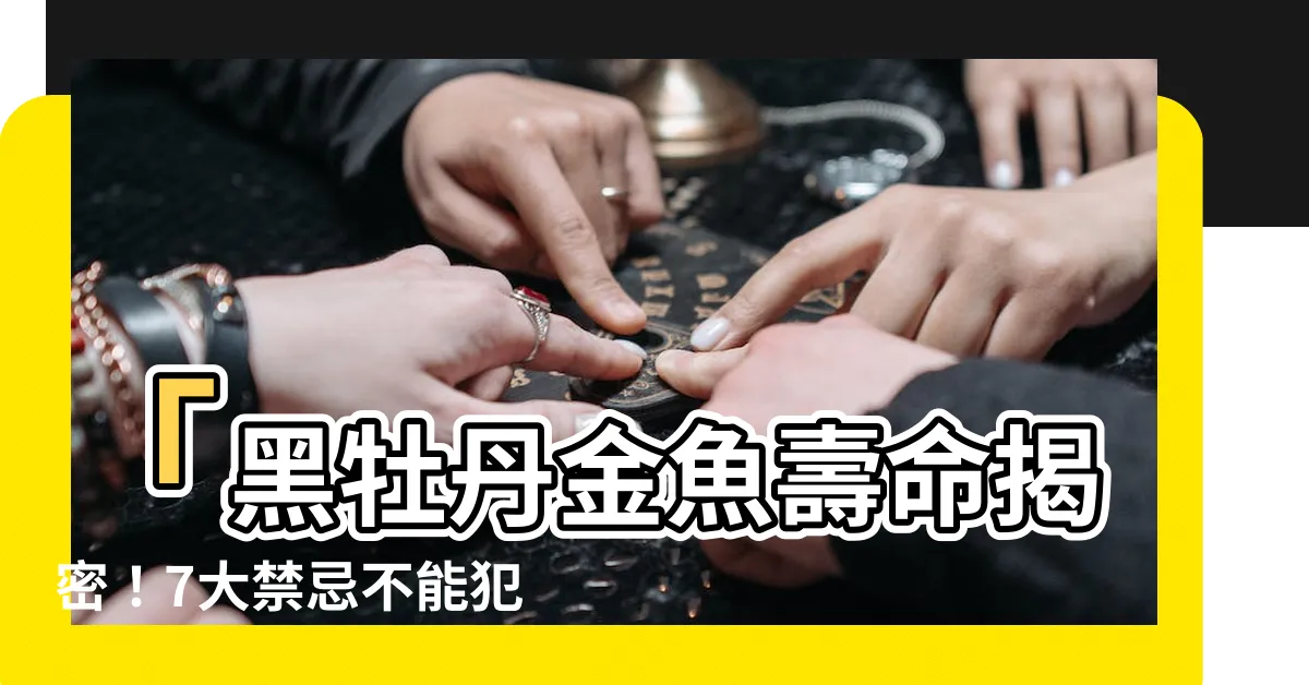 【黑牡丹金魚壽命】「黑牡丹金魚壽命揭密！7大禁忌不能犯，讓你的金魚活得更久！」