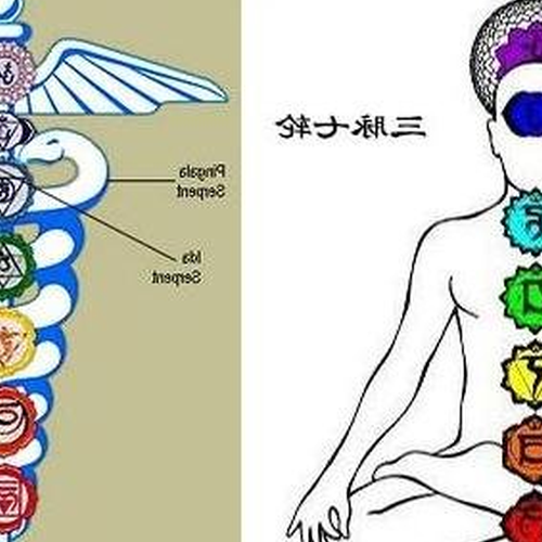 2．瑜伽的七脈輪和八脈輪是什麼意思