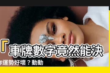 【車牌影響運勢】「車牌數字竟然能決定你運勢好壞？動動手指開車招好運！」