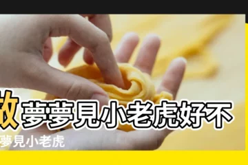 【夢見四隻小老虎跟着我】做夢夢見小老虎好不好 |夢見小老虎 |夢見小老虎 |