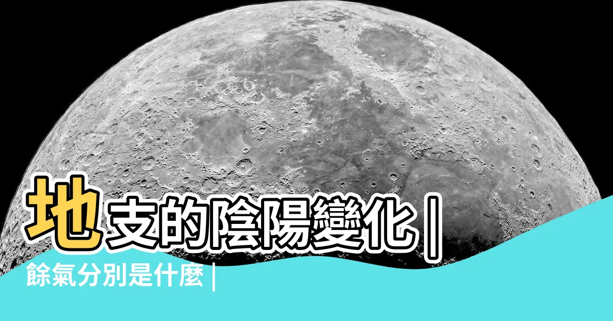 【巳藏支】地支的陰陽變化 |餘氣分別是什麼 |地支藏乾的規律 |