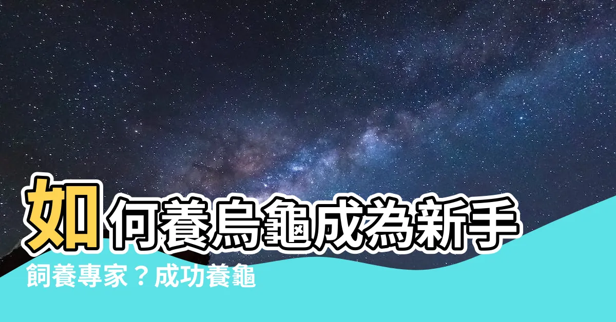 【怎麼養烏龜】如何養烏龜成為新手飼養專家？成功養龜100%極簡指南！