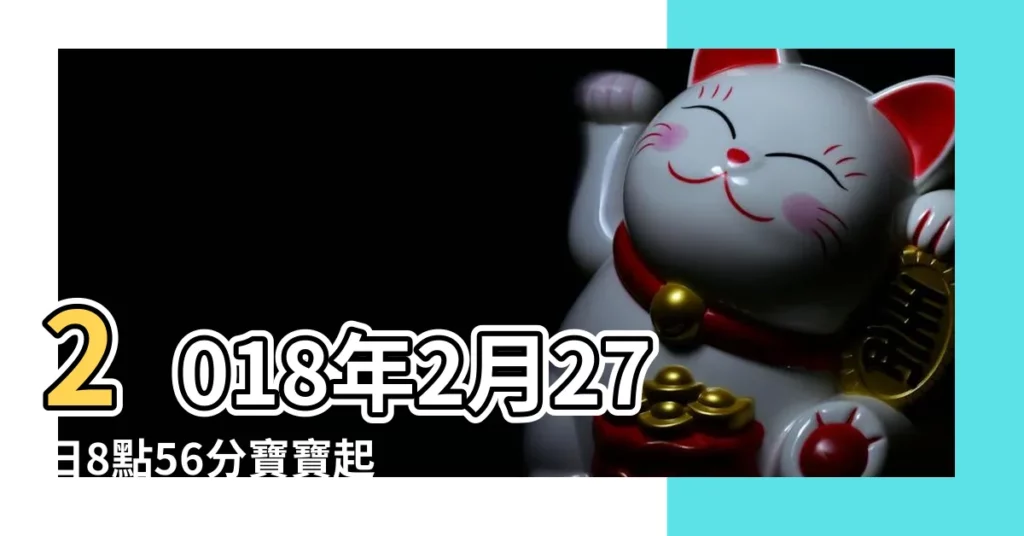 2018年2月27日8點56分寶寶起名字 |公曆2018年2月27日上午10點59分出生男寶寶叫張子浩 |名典起名網 |【2018年2月27出生的男孩起名】