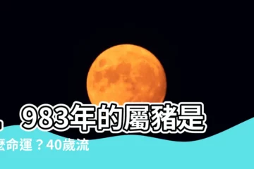 【1983屬豬】1983年的屬豬是什麼命運？40歲流年運勢怎麼看？