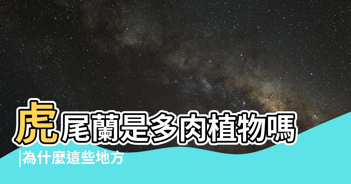 【虎尾藍】虎尾蘭是多肉植物嗎 |為什麼這些地方不能放 |你必須要知道的5大重點 |