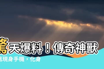 【鳳凰】驚天爆料！傳奇神獸鳳凰現身手機，化身絕世神器！