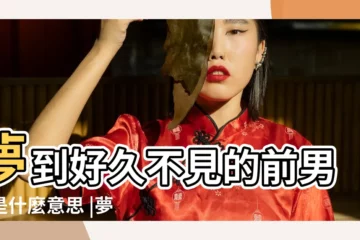 【夢到久未見面的前男友】夢到好久不見的前男友是什麼意思 |夢見前男友 |夢見很久沒見的前男友 |