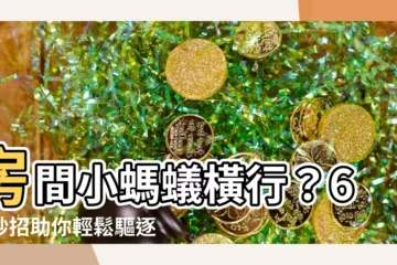 【房間小螞蟻】房間小螞蟻橫行？6大妙招助你輕鬆驅逐！