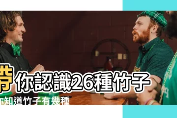 【竹子有幾種】帶你認識26種竹子！你知道竹子有幾種嗎？
