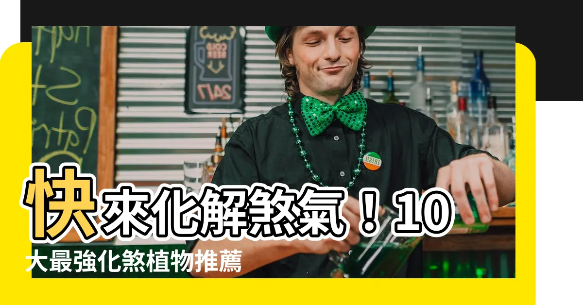 【化煞植物】快來化解煞氣！10大最強化煞植物推薦，旺財又除厄