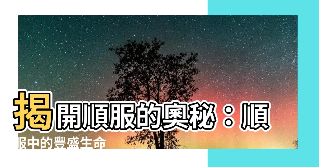 【順服】揭開順服的奧秘：順服中的豐盛生命
